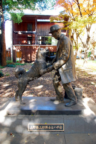 Statue Of Dr Hidesaburo Ueno & Hachiko 上野英三郎博士とハチ公の像 @ University Of Tokyo, Tokyo